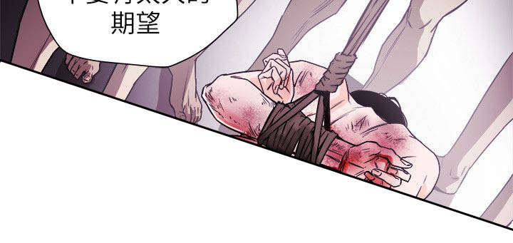《温柔的骗局》第90章打击 第17页