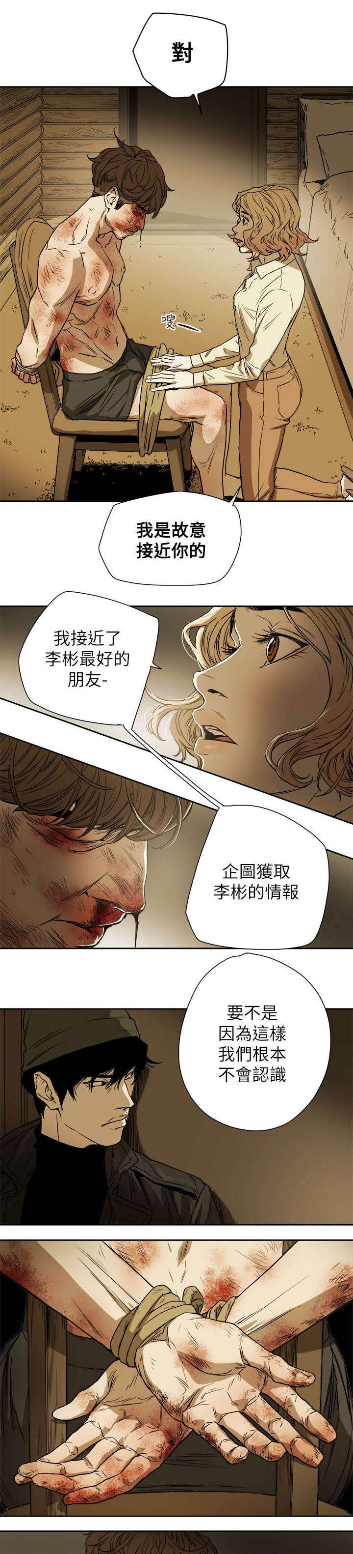 《温柔的骗局》第90章打击 第8页