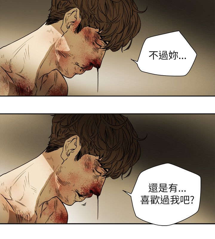 《温柔的骗局》第90章打击 第9页
