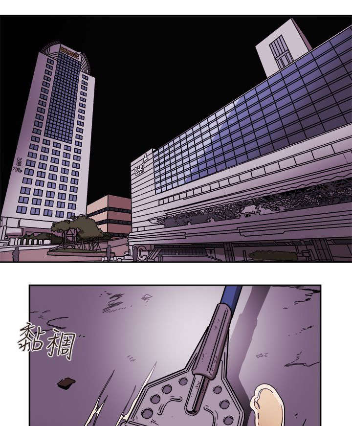 《温柔的骗局》第97章计划开始 第11页