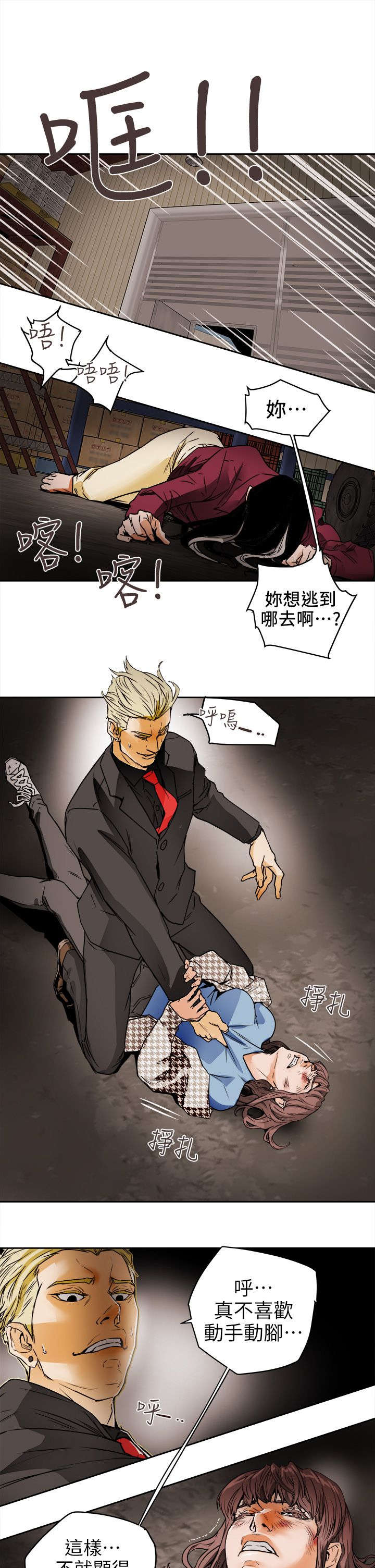 《温柔的骗局》第114章重拳出击 第5页