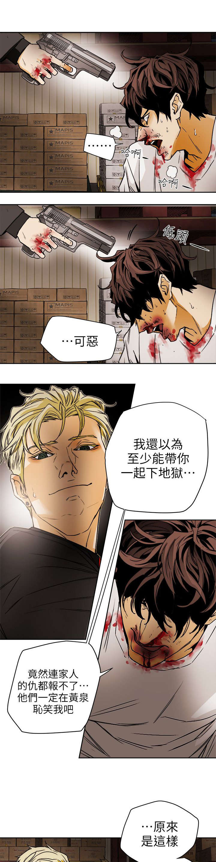 《温柔的骗局》第115章直播现场 第5页