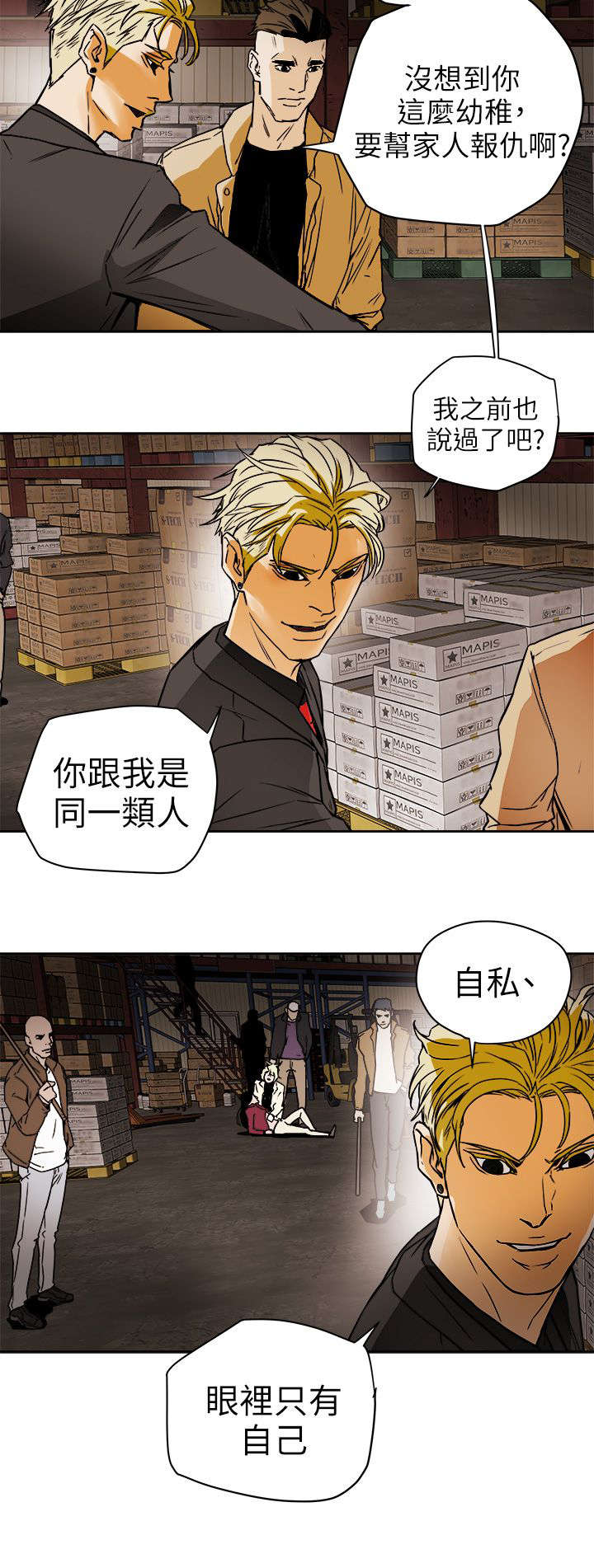 《温柔的骗局》第115章直播现场 第6页