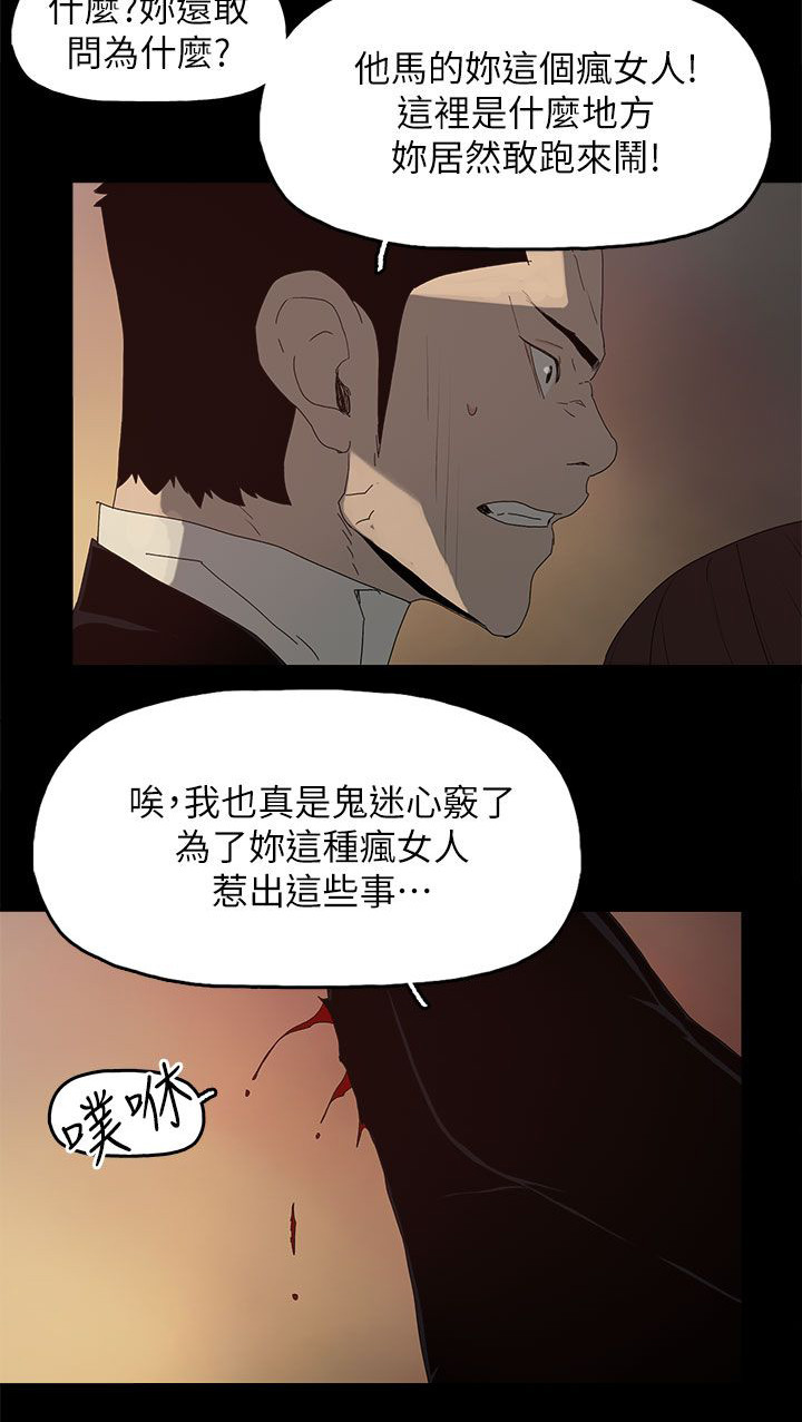 《妻子的替身》第82章你爱过我吗 第14页