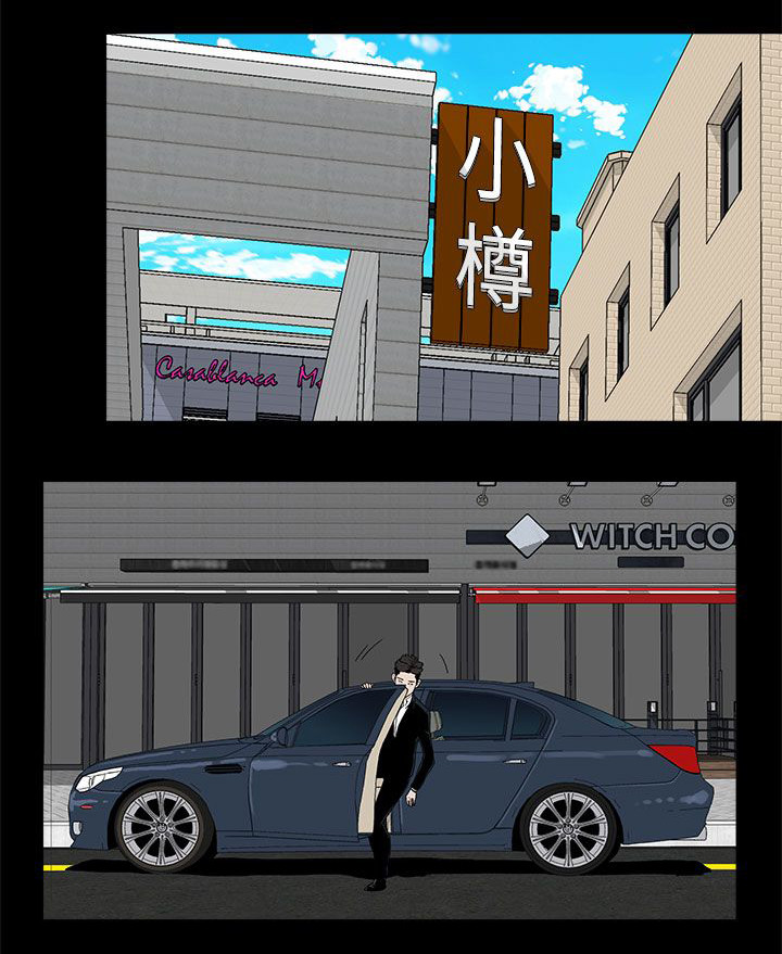 《妻子的替身》第78章迷昏 第6页