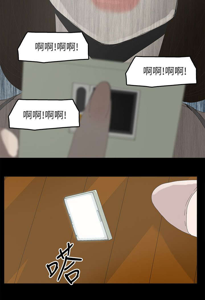 《妻子的替身》第70章电话沟通 第12页