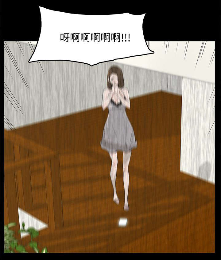 《妻子的替身》第70章电话沟通 第13页