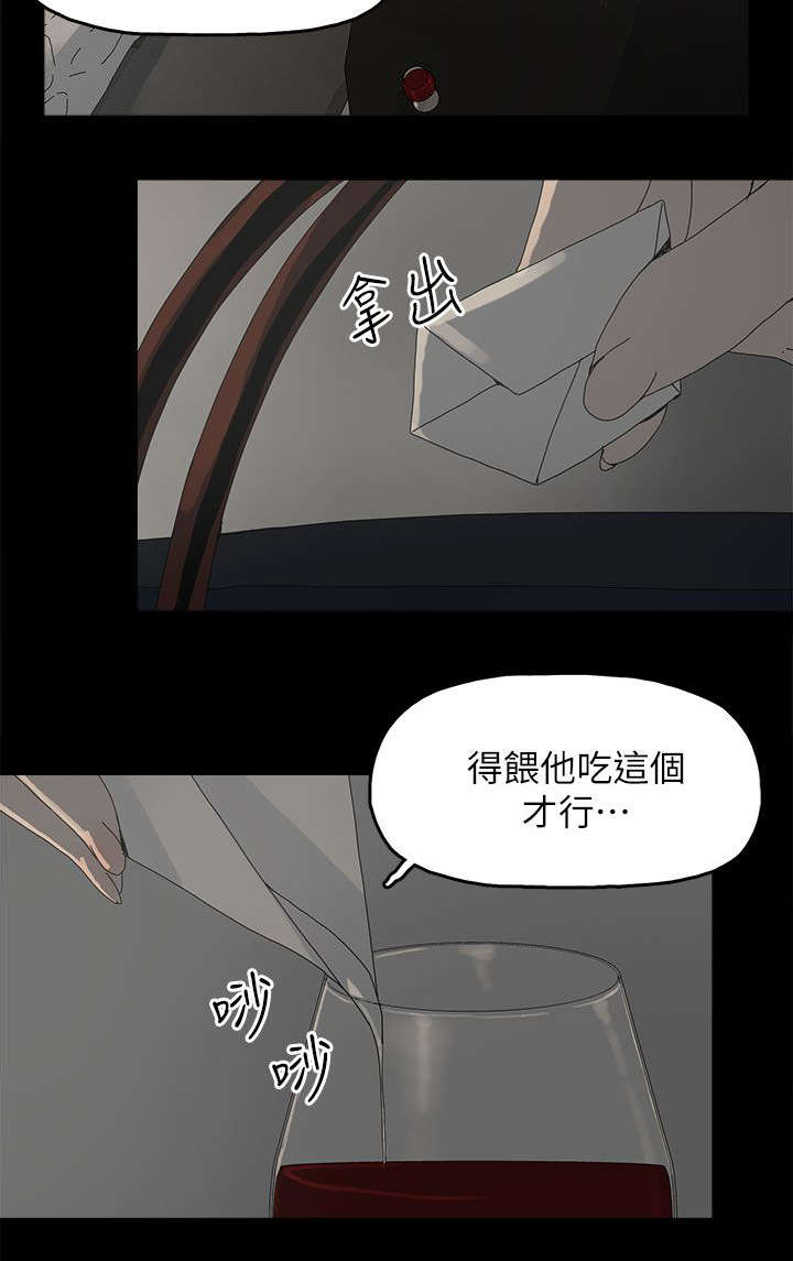 《妻子的替身》第66章得手 第2页