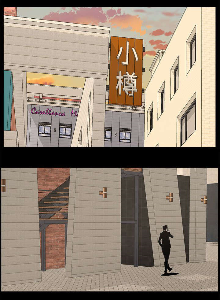 《妻子的替身》第65章约 第12页