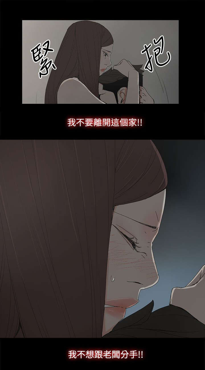 《妻子的替身》第61章妻子的过往 第8页