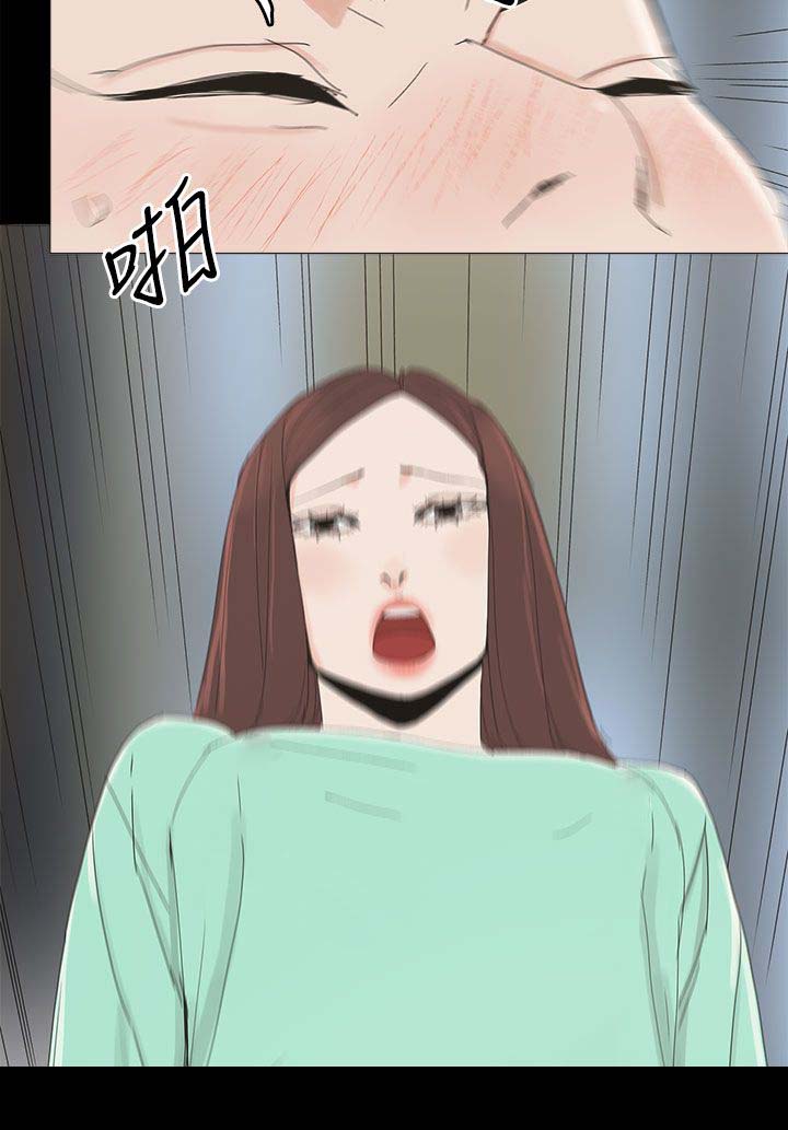 《妻子的替身》第52章明目张胆 第9页