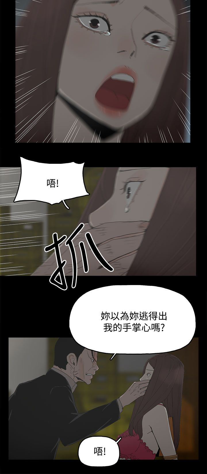 《妻子的替身》第46章袭击 第12页