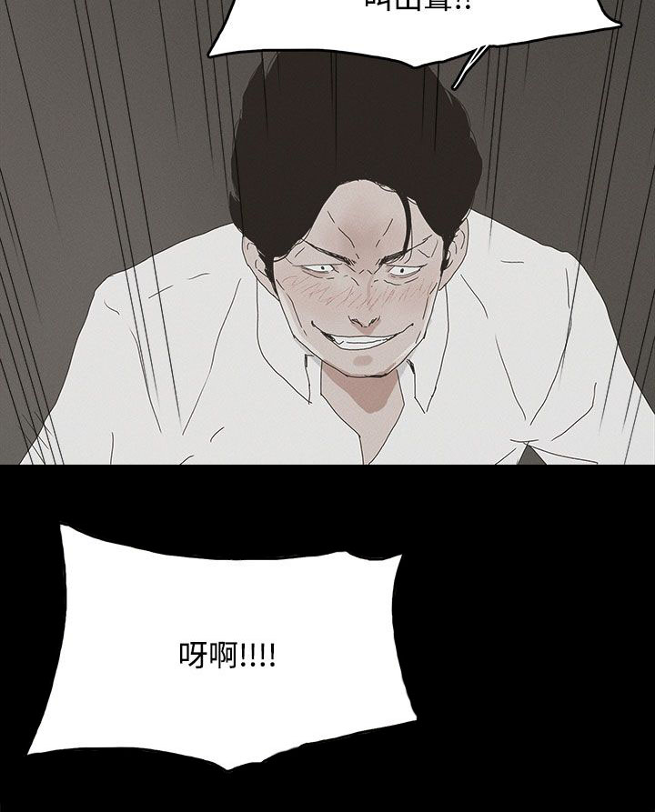 《妻子的替身》第40章往事 第14页