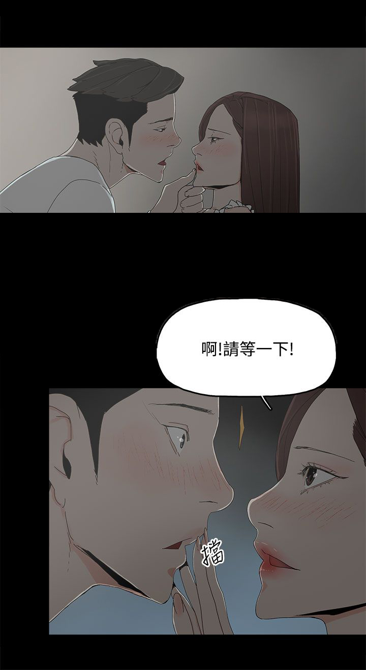 《妻子的替身》第20章哥哥的电话 第11页
