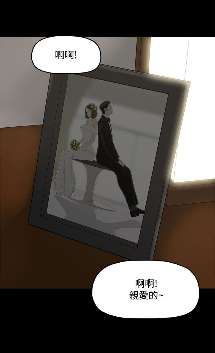 《妻子的替身》第18章警告 第1页