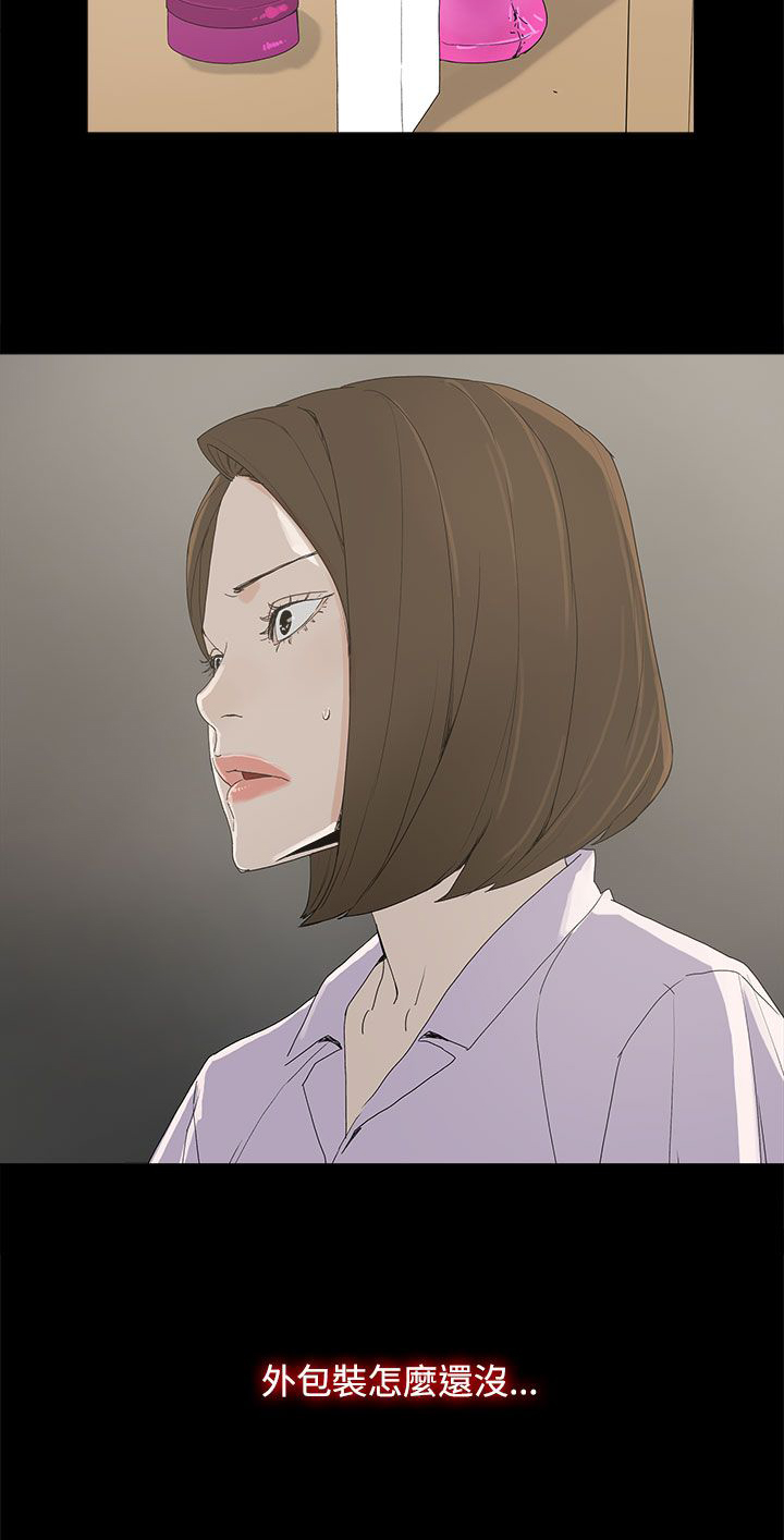 《妻子的替身》第11章包装 第12页