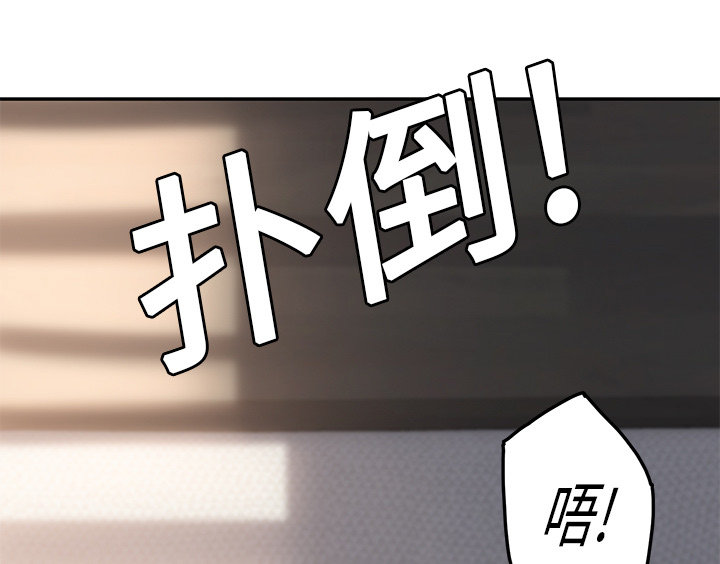 《边缘关系》第44章偷情 第66页