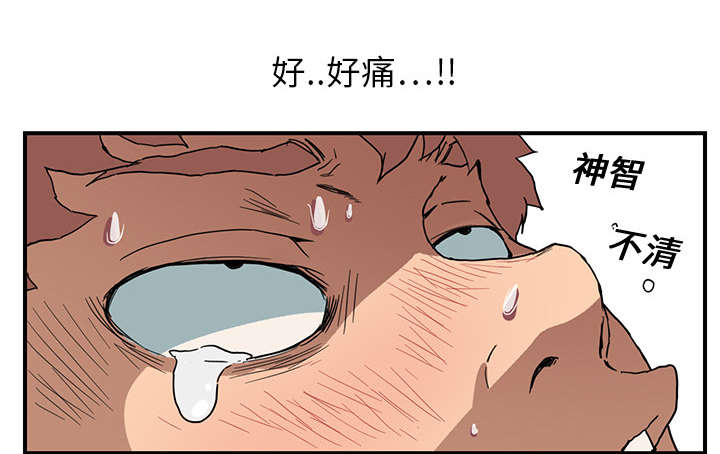 《边缘关系》第10章产生幻觉 第5页