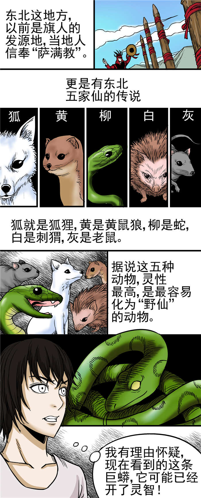 《蛇妻》第21章五家仙传说 第5页