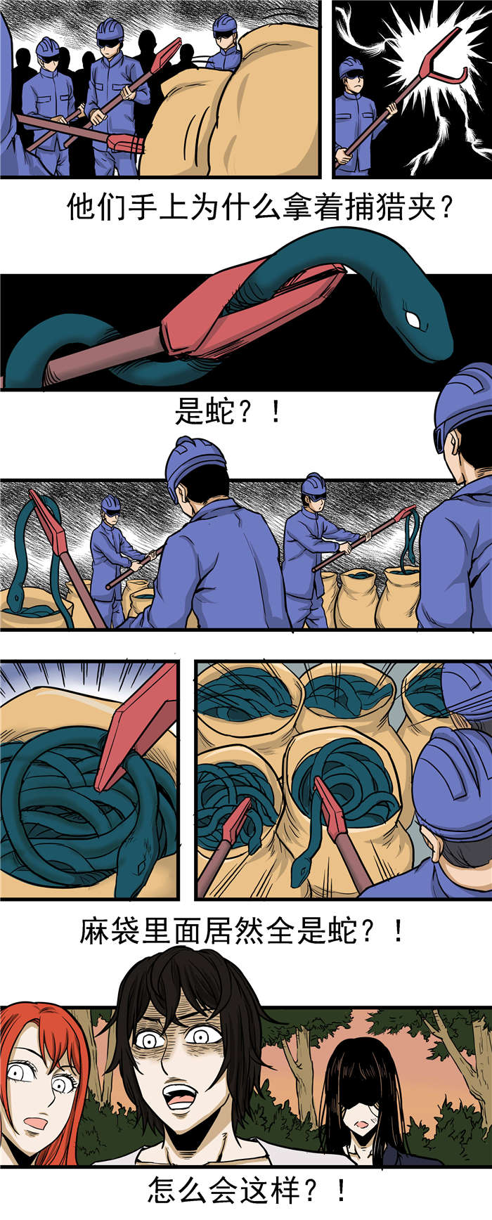 《蛇妻》第24章又是好多蛇 第2页