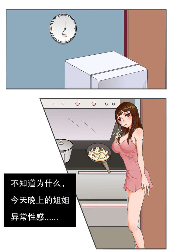 《捍卫家姐》第3章姐姐和我 第1页