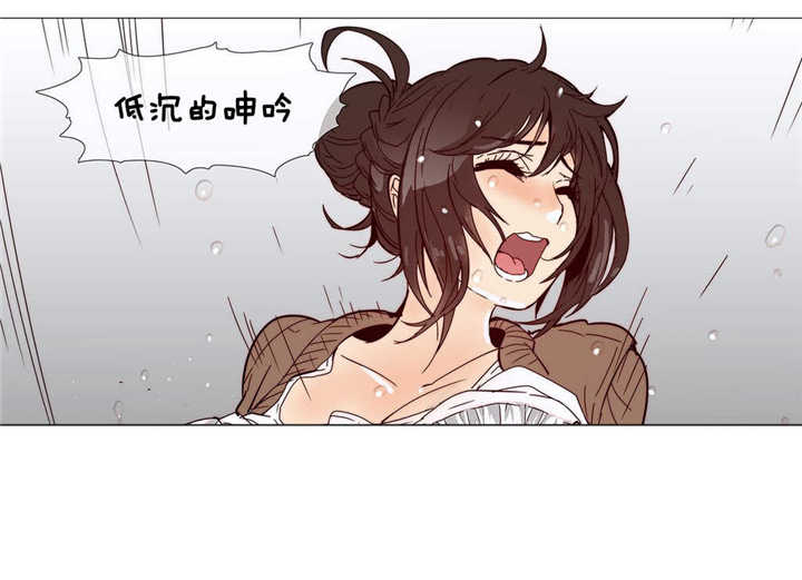 《潜伏刺客》第7章空洞 第11页