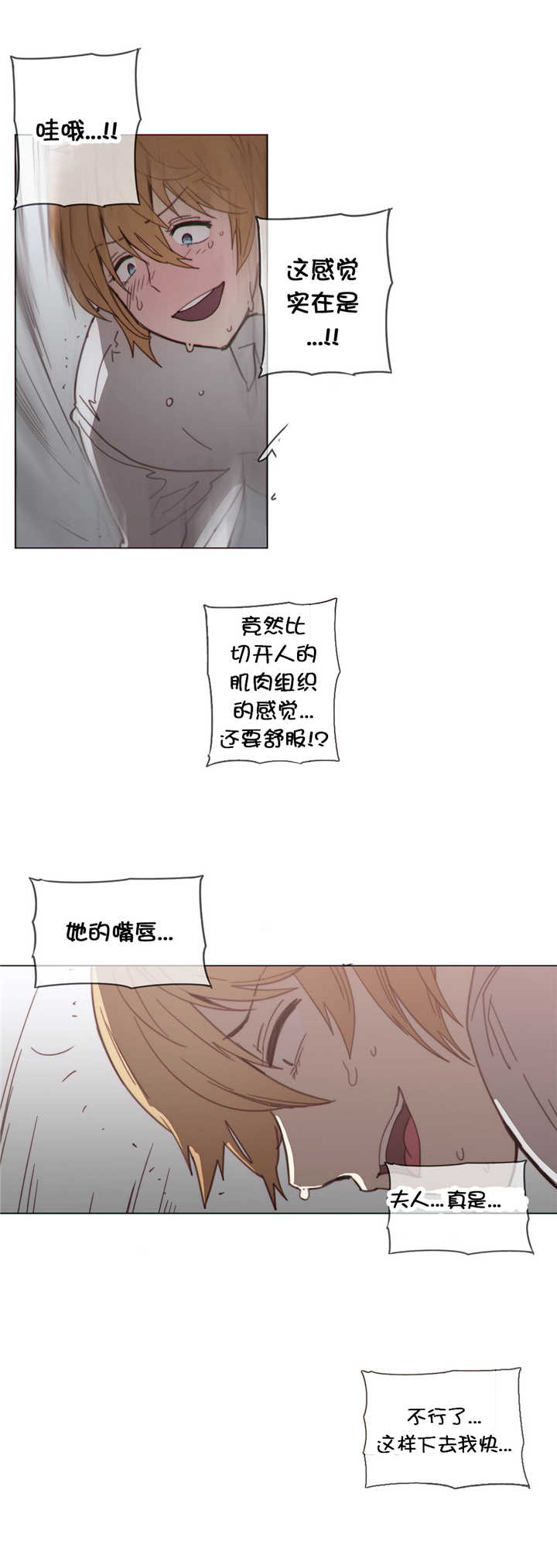 《潜伏刺客》第40章见他 第14页