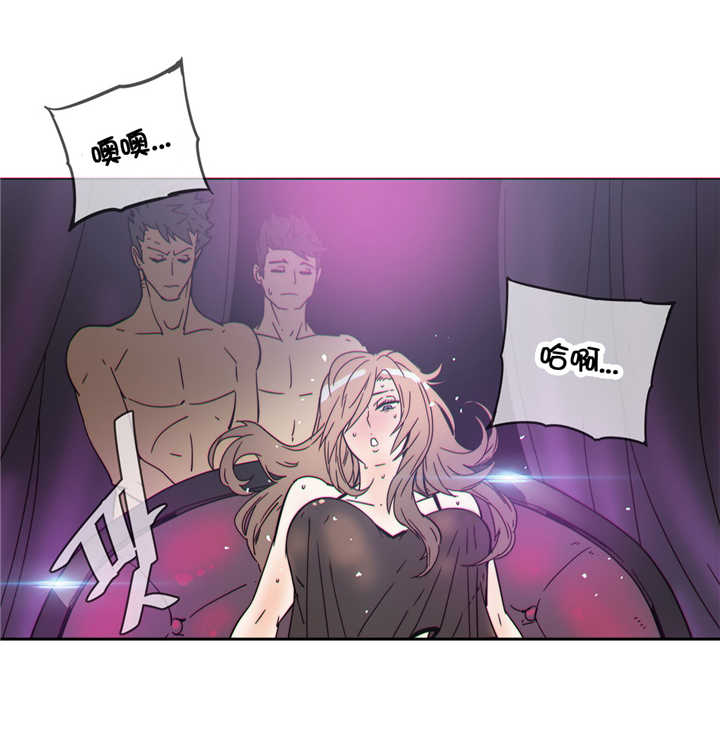 《潜伏刺客》第45章在哪 第12页