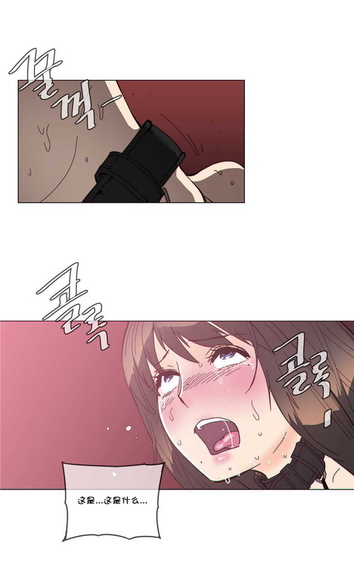 《潜伏刺客》第57章镜子 第10页