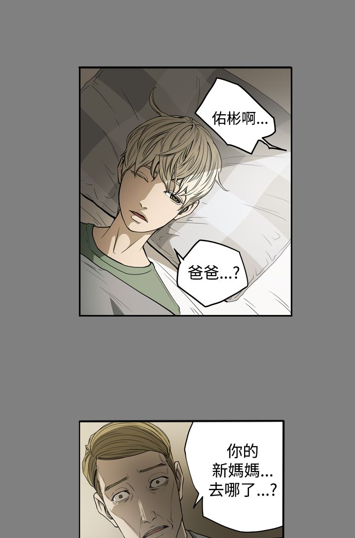 《布局高手》第24章家变 第5页