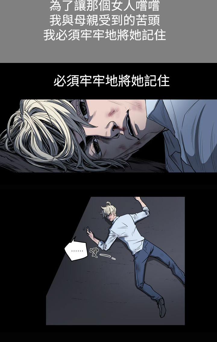《布局高手》第24章家变 第9页