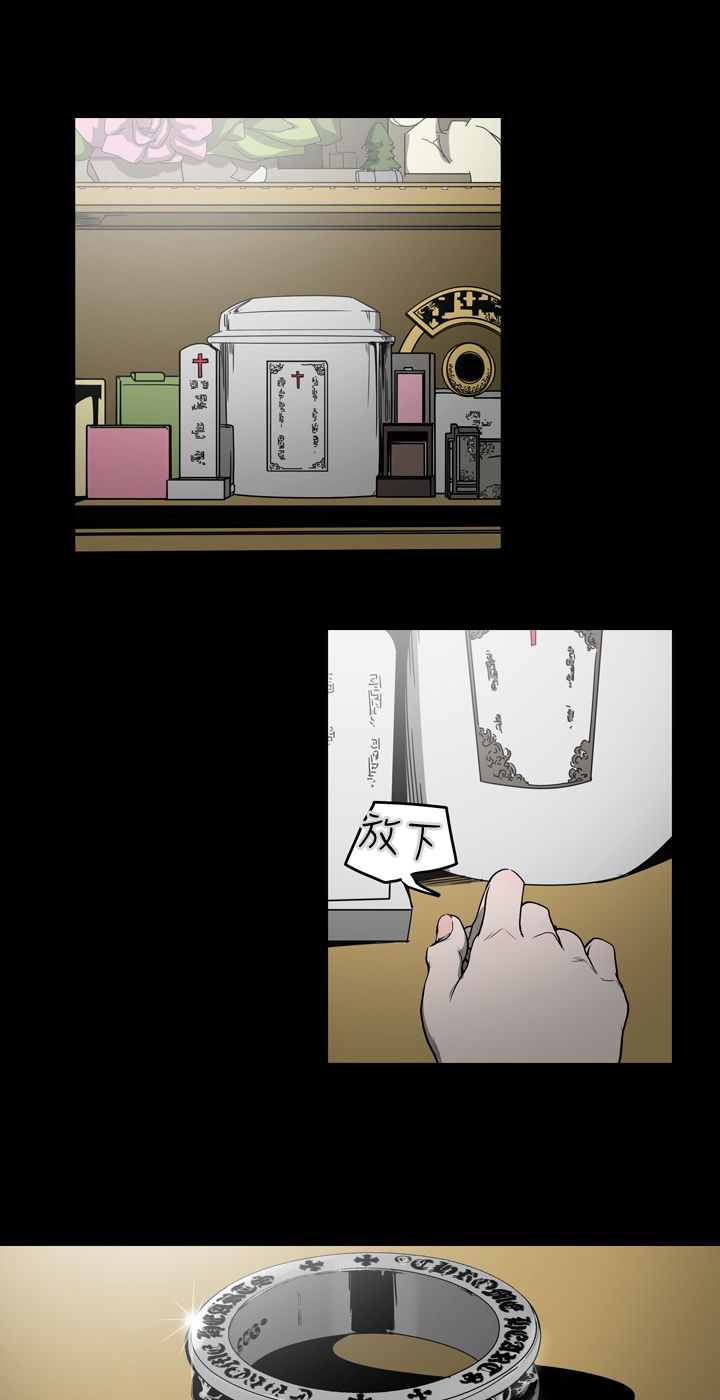 《布局高手》第29章欺骗 第11页