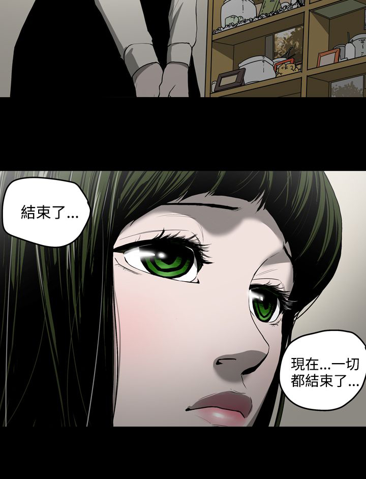 《布局高手》第29章欺骗 第13页