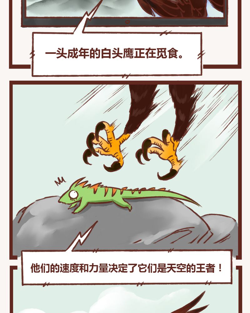 《神兽退散》第2章 第11页