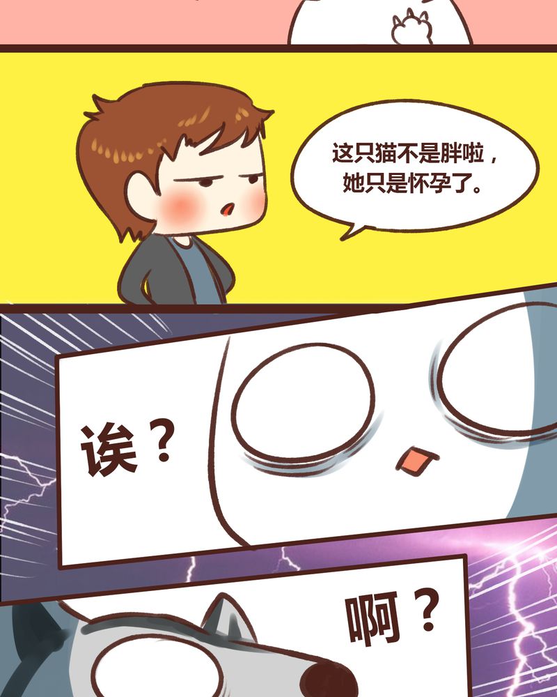 《神兽退散》第17章 第33页