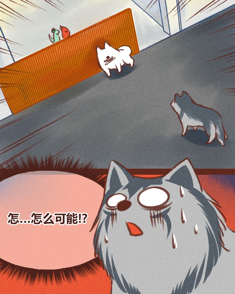 《神兽退散》第20章 第1页