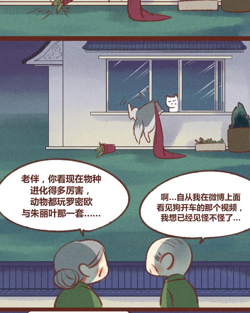 《神兽退散》第24章 第11页