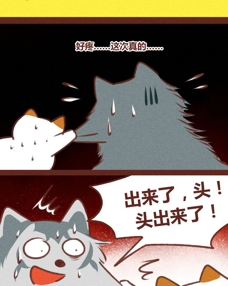 《神兽退散》第62章 第31页