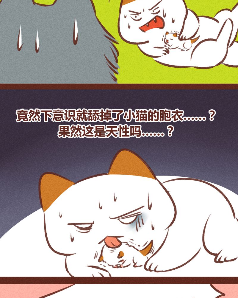 《神兽退散》第63章 第29页