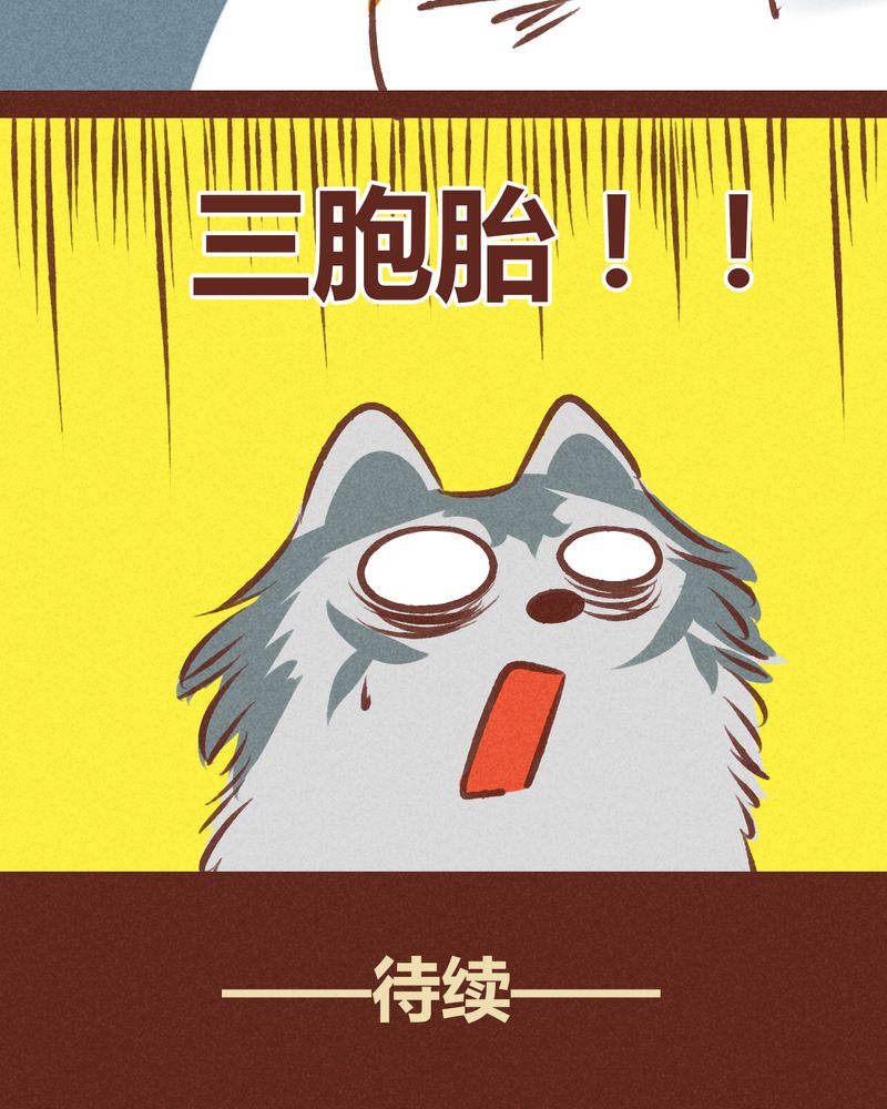 《神兽退散》第63章 第36页