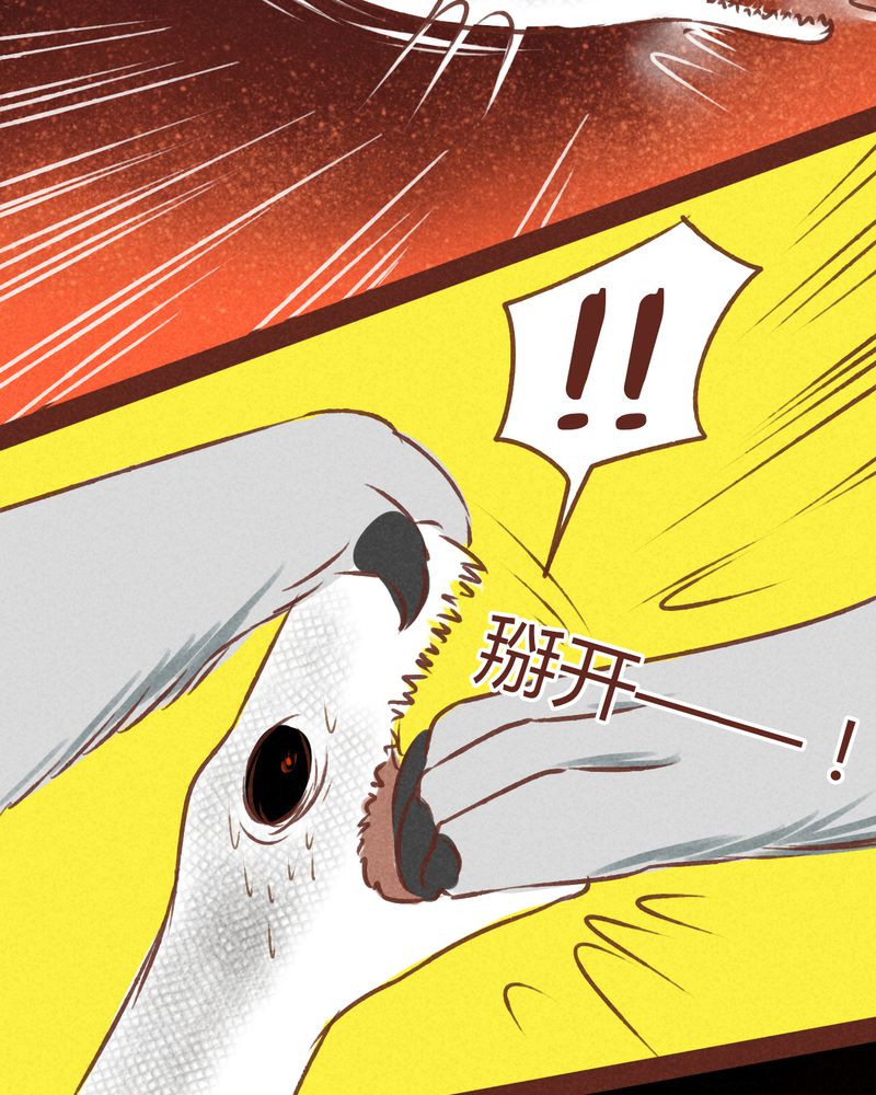 《神兽退散》第69章 第41页
