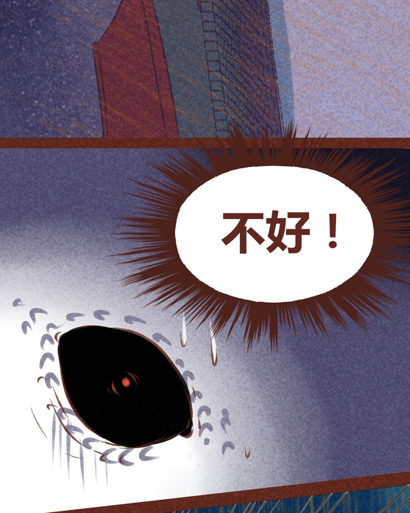 《神兽退散》第67章 第4页