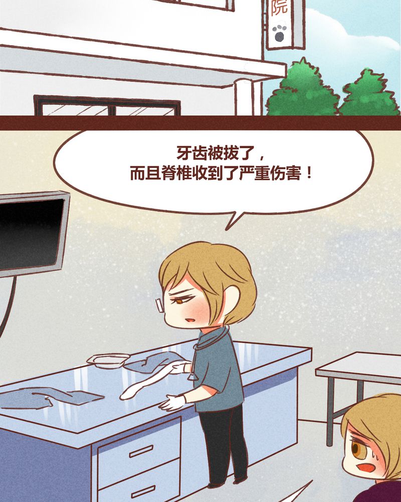 《神兽退散》第72章 第45页