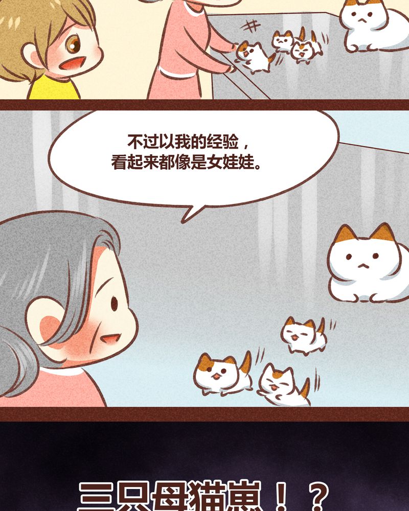 《神兽退散》第78章 第26页