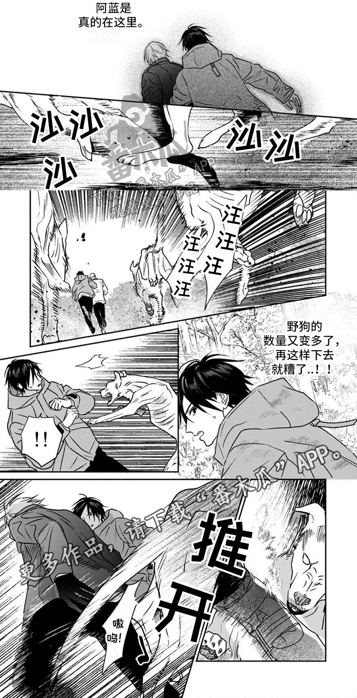 《末世救赎》第38章疑点 第5页