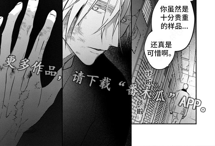 《末世救赎》第42章求救 第6页