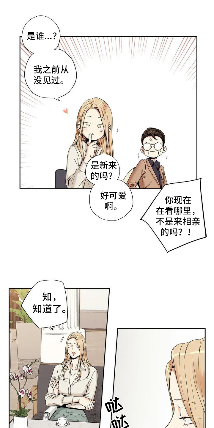 《不枉此生女王篇》第1章催婚 第14页