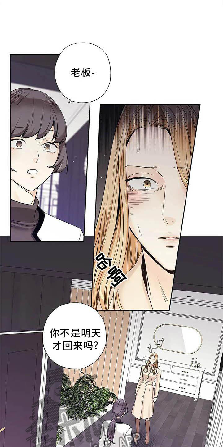 《不枉此生女王篇》第37章待在我身边 第4页