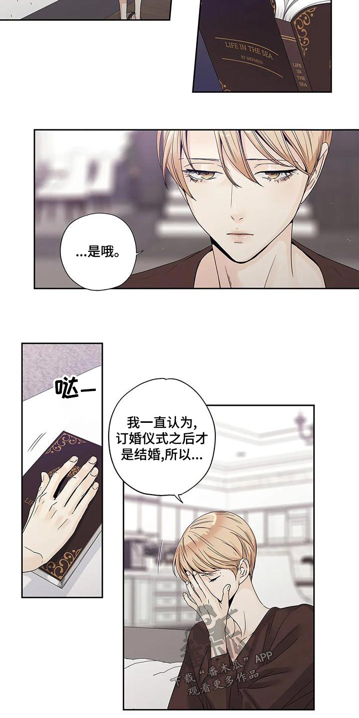 《不枉此生女王篇》第47章订婚仪式 第12页
