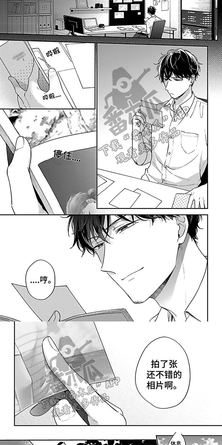 《爱在夏天》第14章在意 第1页